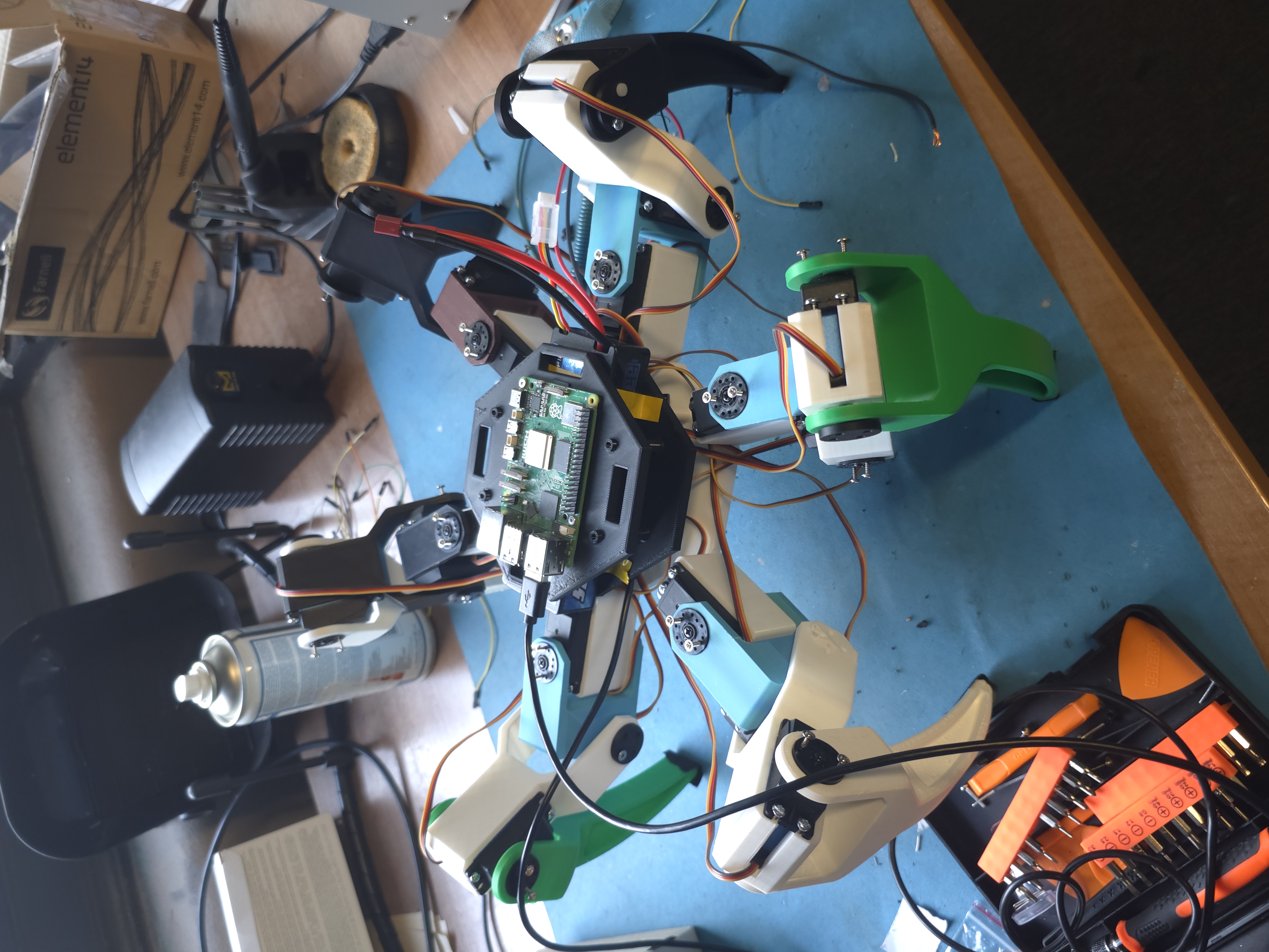 Hexapod model