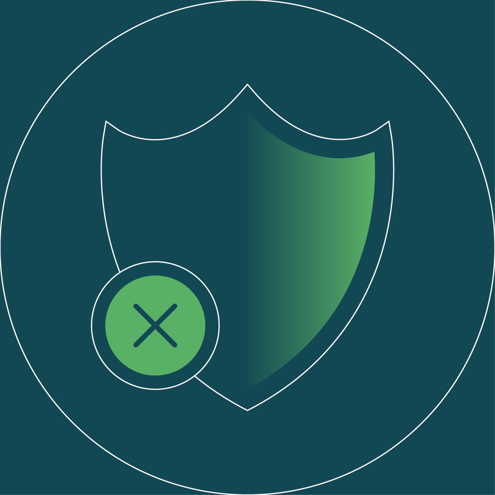 Image of a security logo